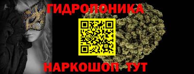 PSILOCYBIN Ирбит