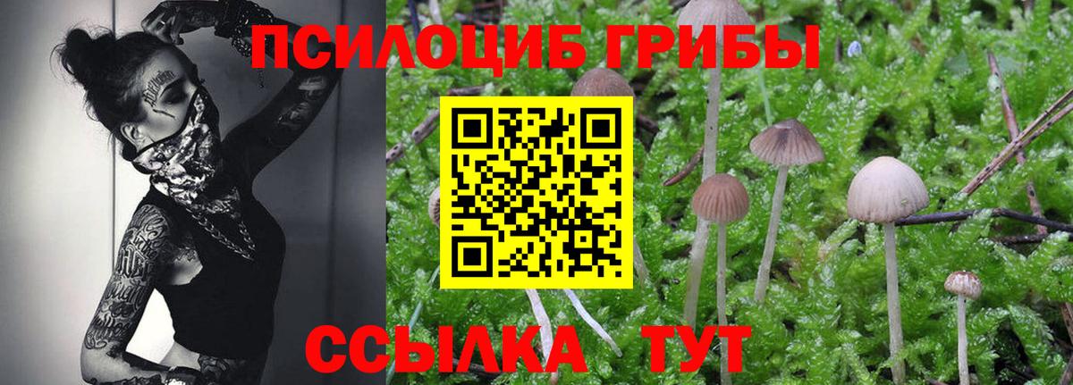 Псилоцибиновые грибы Magic Shrooms Ликино-Дулёво